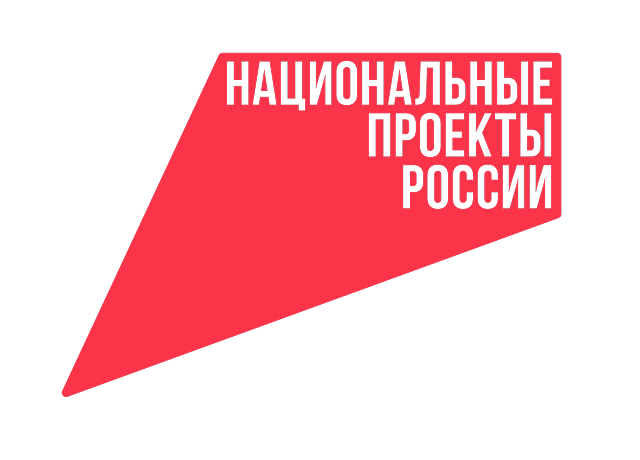 Национальные проекты России