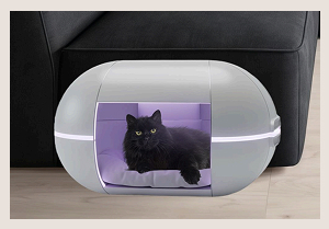 Работа Адамович С.