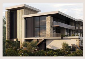 Работа Даниловой Я.