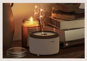 Работа Филоновой К.