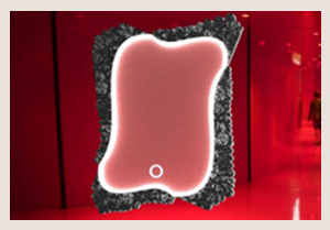 Работа Гони О.