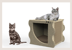 Работа Грошевой А.