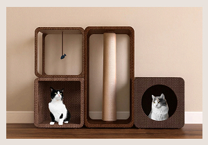 Работа Кузиной С.