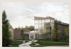 Работа Мордовской А.