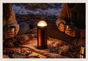 Работа Сараби Н.А.