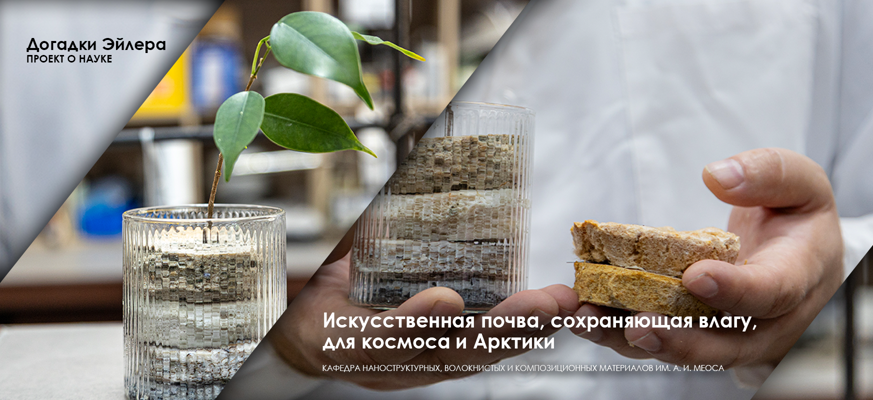 Почва, сохраняющая влагу, для космоса и Арктики: ученые СПбГУПТД создали долговечный искусственный субстрат для выращивания растений
