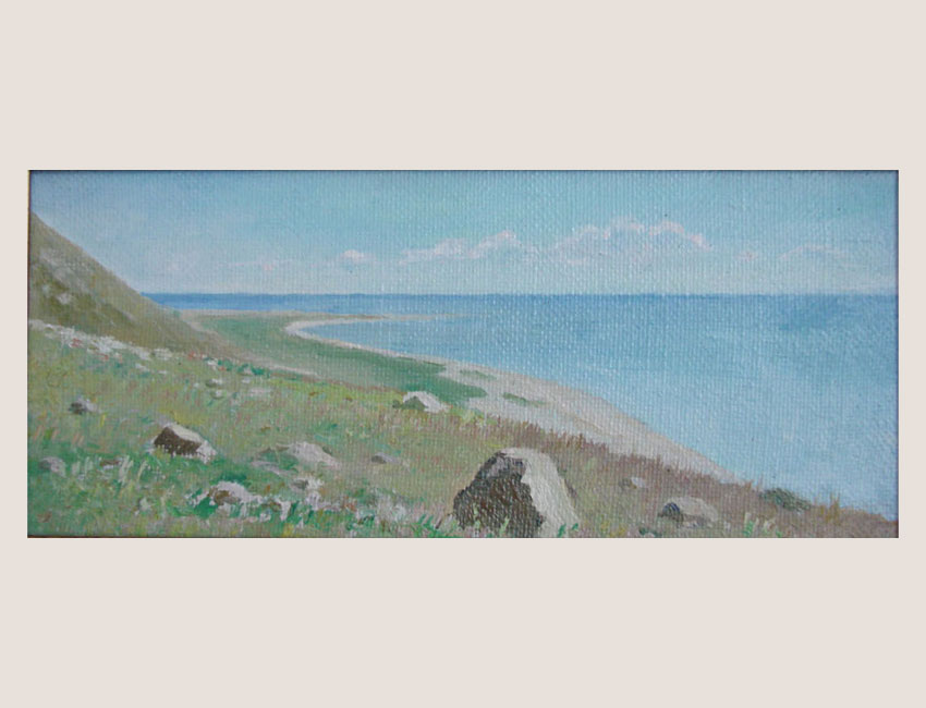 «Байкальский простор.» 2010 год.   х.м., фт. 40 x 95